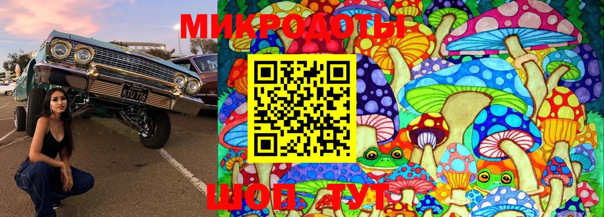 Галлюциногенные грибы мухоморы  где можно купить   Псилоцибиновые грибы мухоморы  Бердск  Вход с VPN 