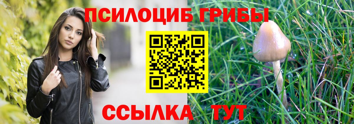 Псилоцибиновые грибы Cubensis Бердск