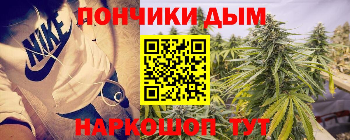 Канабис Bruce Banner  Марихуана THC 21%  Вход с VPN  Бердск  Бошки марихуана THC 21%  Бошки марихуана THC 21% 